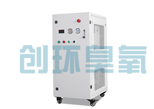 山西石斑鱼养殖水质调控完整指南:臭氧发生器配置与操作步骤