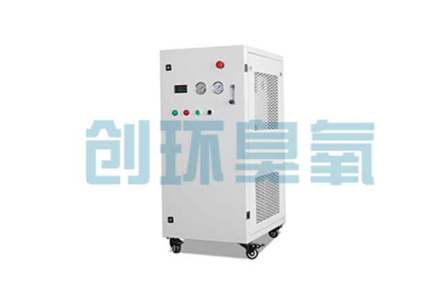 山西比传统换水更高效?臭氧发生器在石斑鱼养殖中的水质净化原理解析