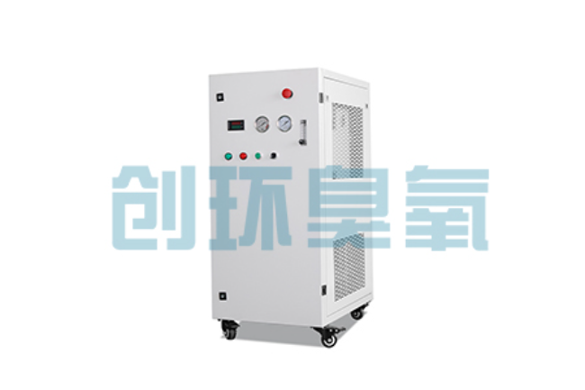 山西比传统换水更高效?臭氧发生器在石斑鱼养殖中的水质净化原理解析